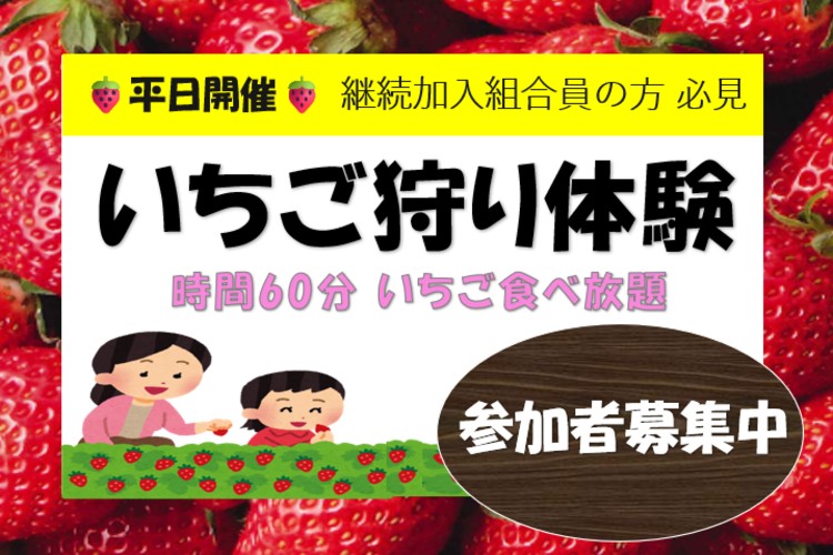 2025年度いちご狩り体験